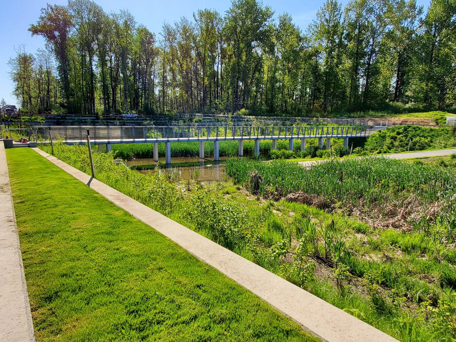Pedestrian bridge crossing a naturalized wetland bordered by crisp lawn edges