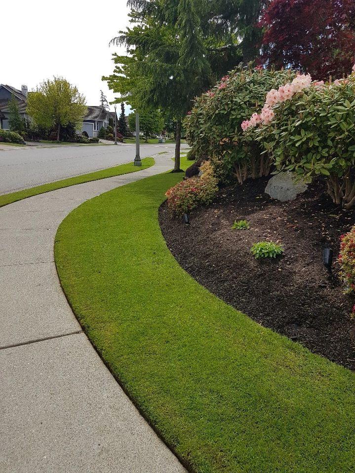 Sweeping curved lawn edge along a sidewalk with layered shrub and flower beds