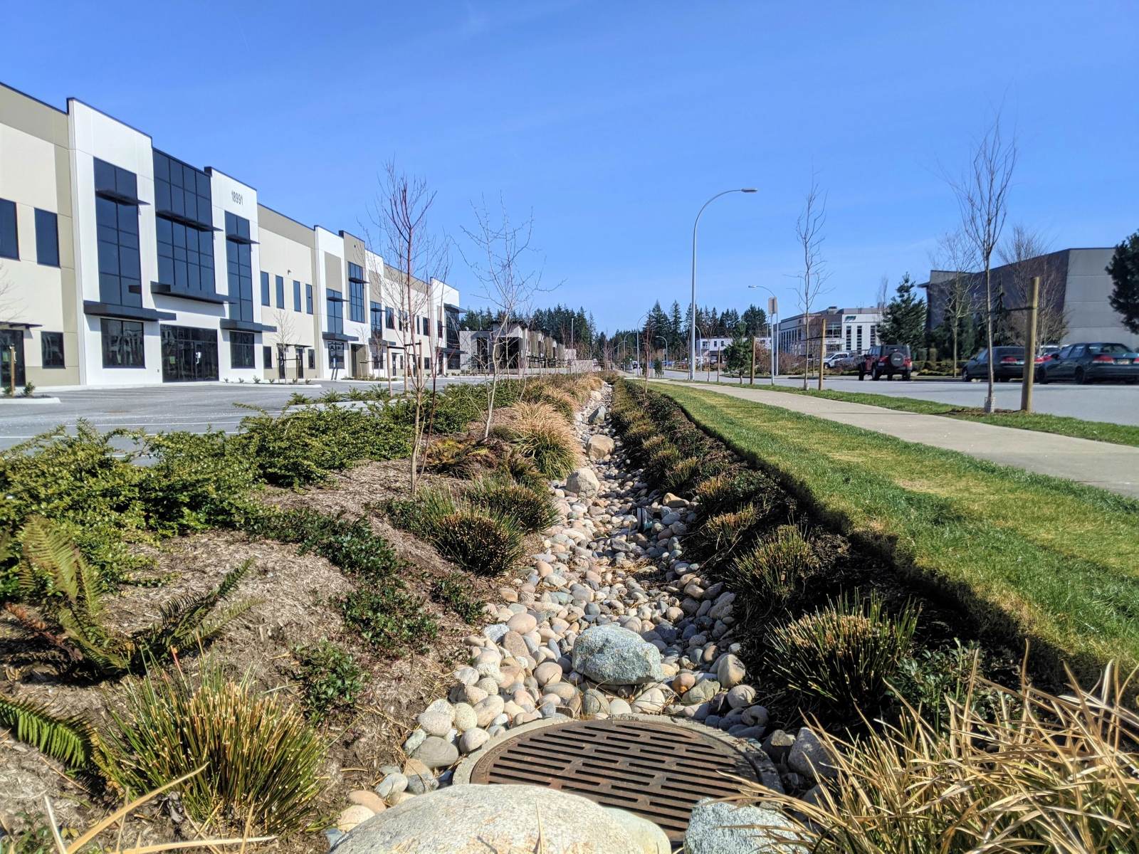 River-rock drainage swale with ornamental grasses along a commercial frontage