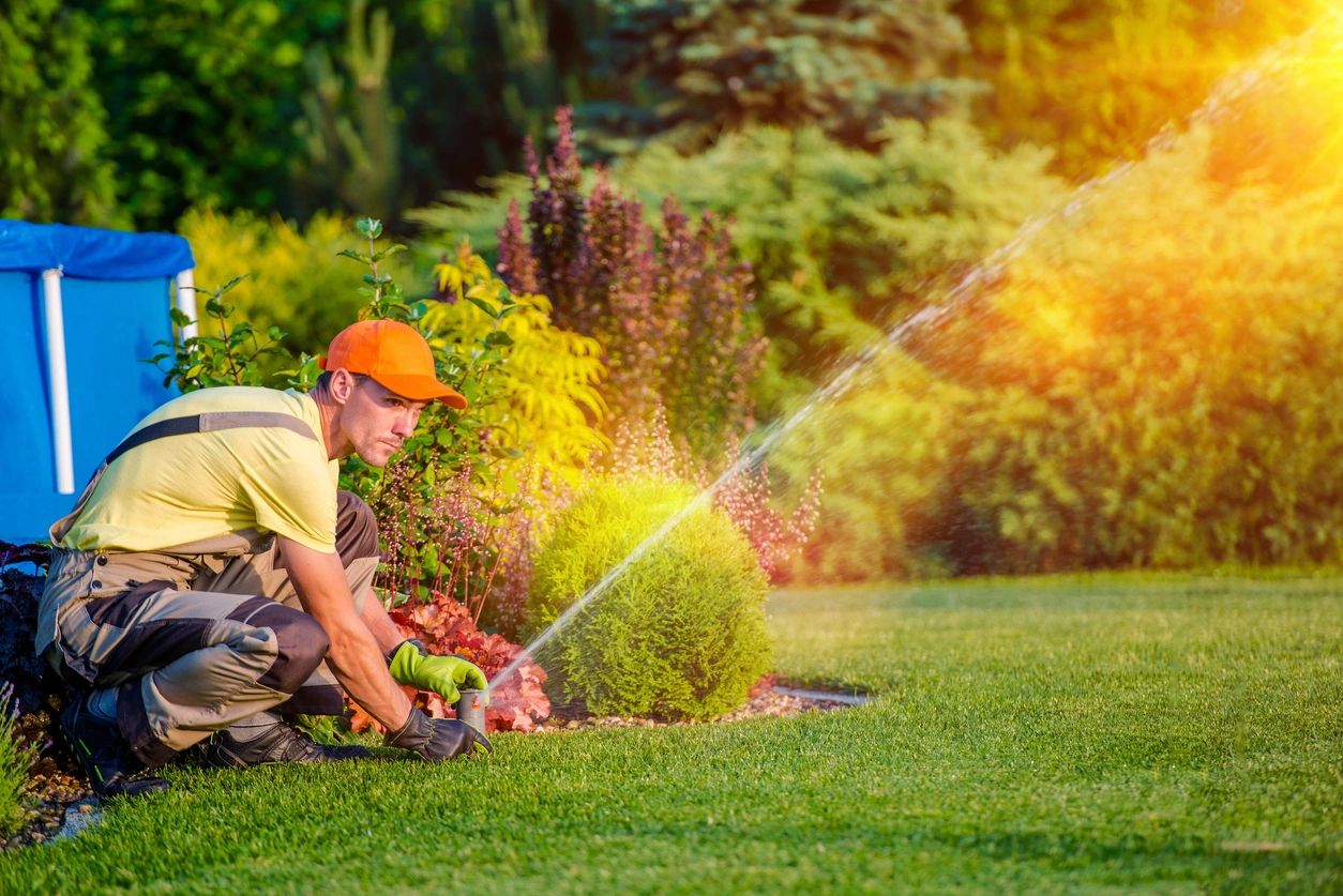 Landscaper adjusting a lawn sprinkler amid colourful garden beds in golden light