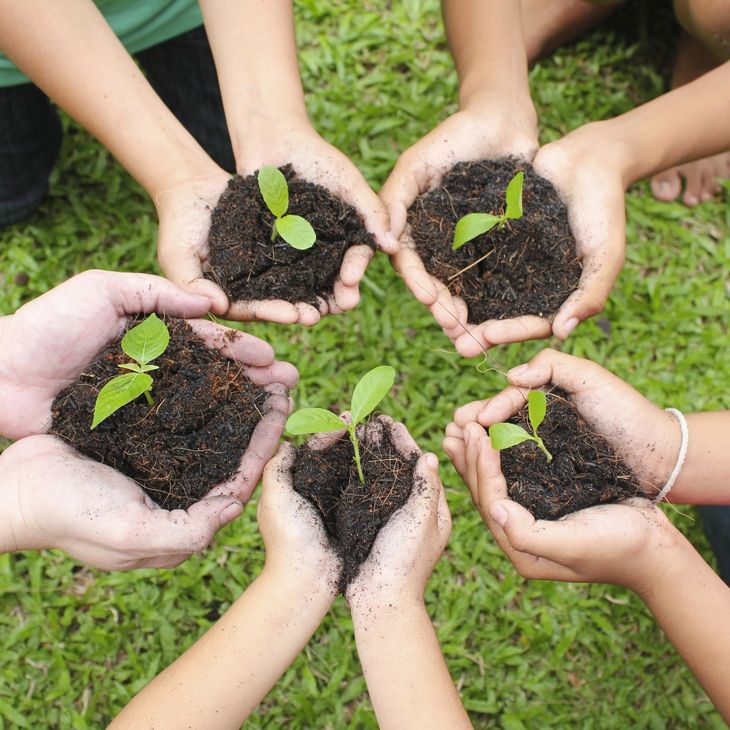 Hands cradling soil and seedlings in a circle over green grass